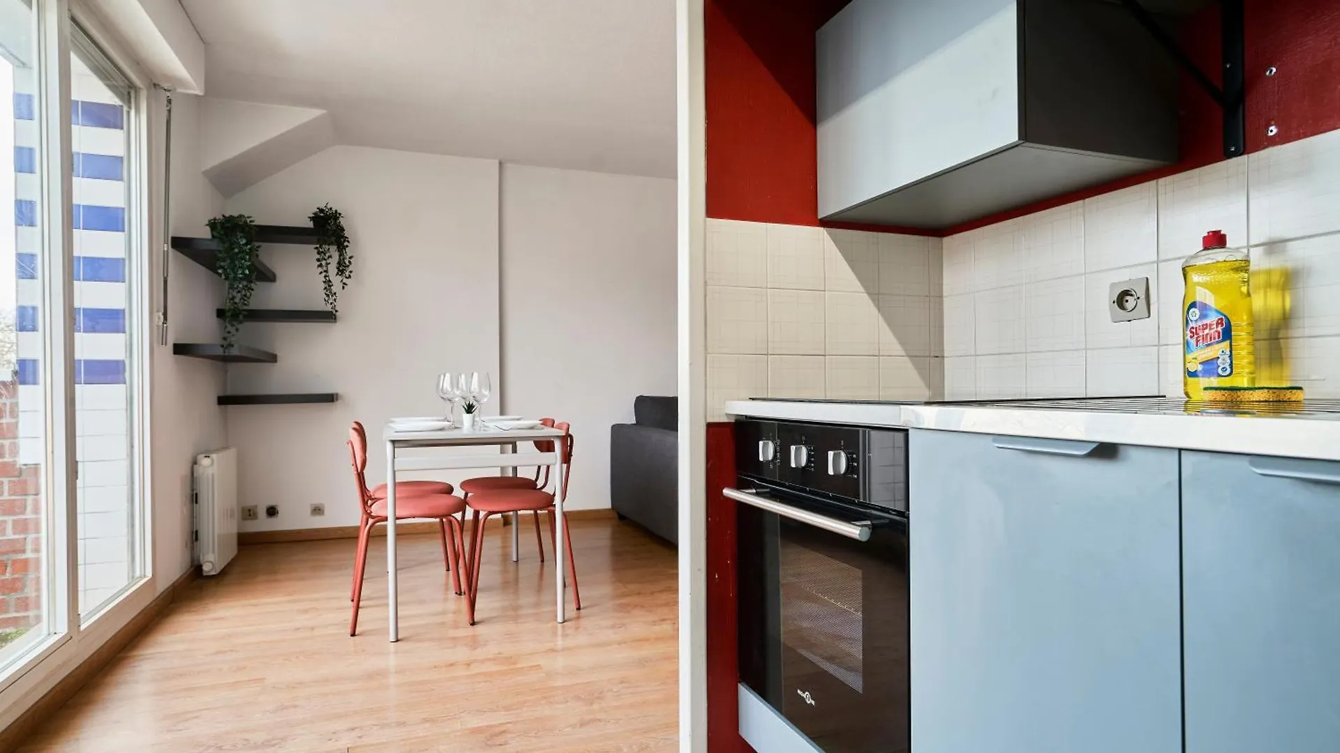 Apartment T2 Confortable A Lille Saint Maurice Pellevoisin